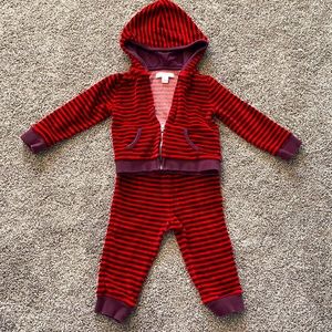 Burberry Baby 18m red and maroon soft Burberry track suit